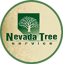 Nevada Tree Service