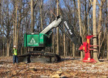 Clean Cut Tree Service