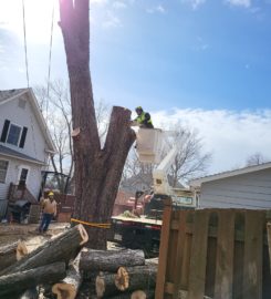 Duck’s Tree and Stump Service