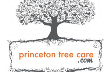 Princeton Tree Care