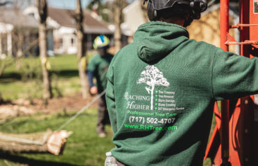Reaching Higher Tree Care