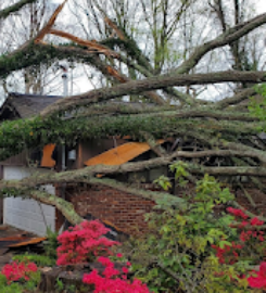 East TN Tree Service Inc.