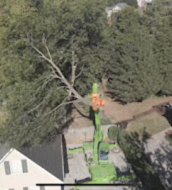 East TN Tree Service Inc.