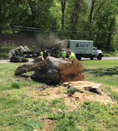 East TN Tree Service Inc.