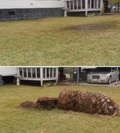 Nature’s Tree Removal of Houston