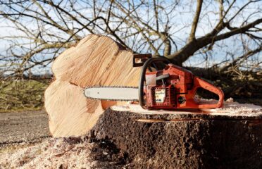 Abbotsford Tree Specialists