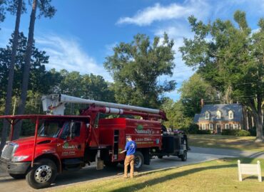 Nunnally’s Tree Service