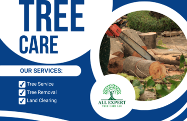 All Expert Tree Care