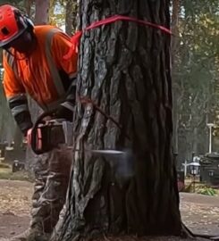 Evanston Tree Service